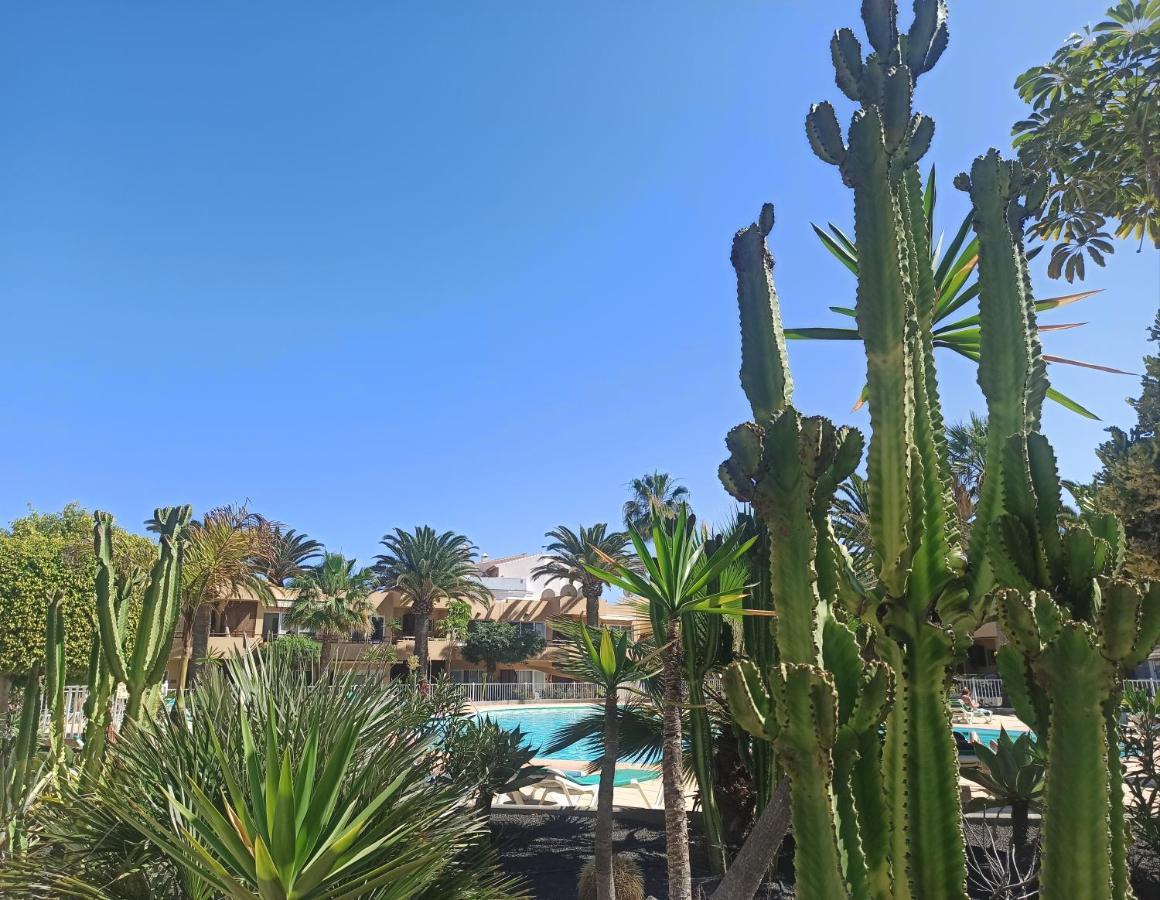 Elrincondesara Lägenhet Corralejo Exteriör bild