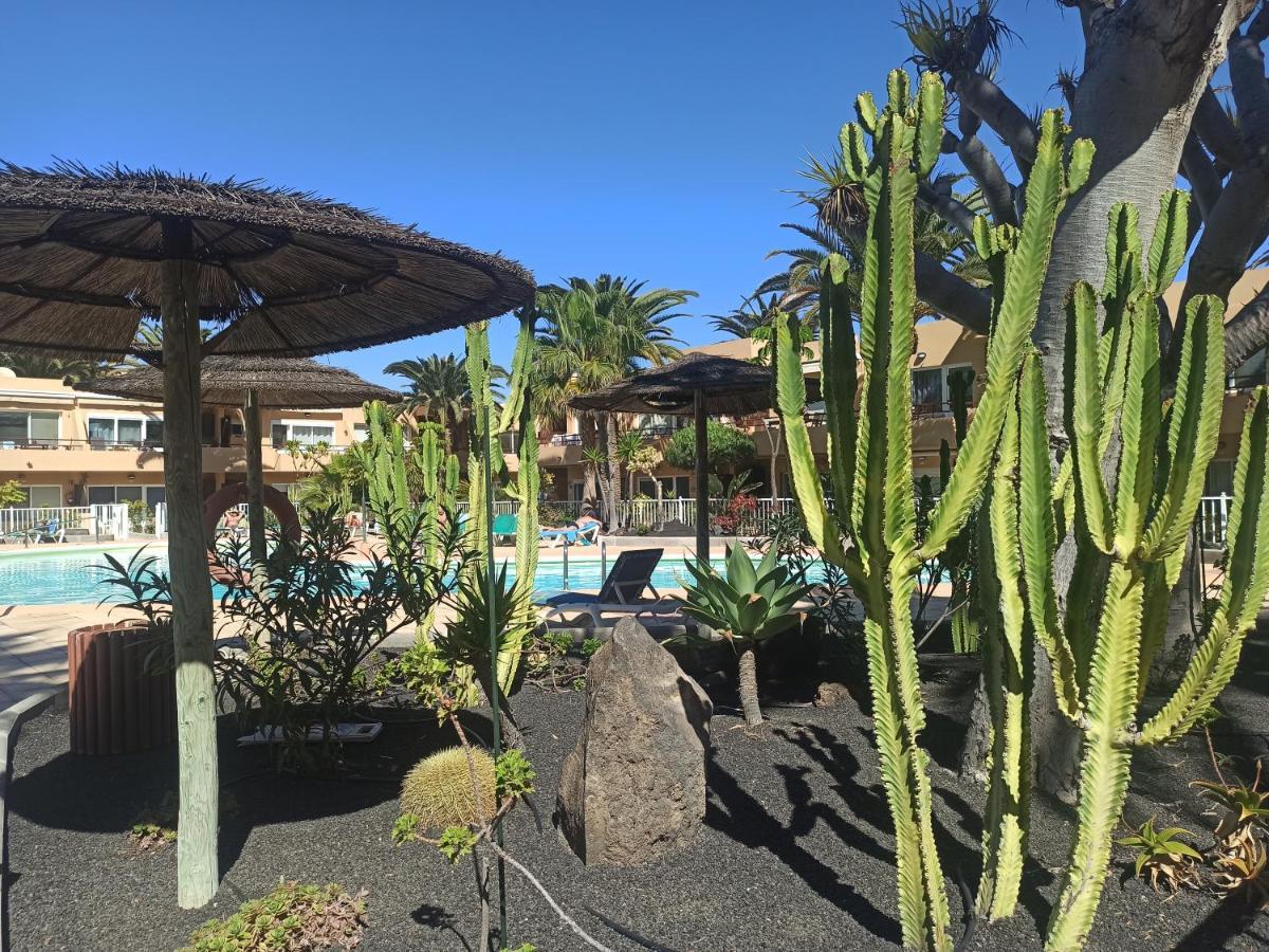 Elrincondesara Lägenhet Corralejo Exteriör bild